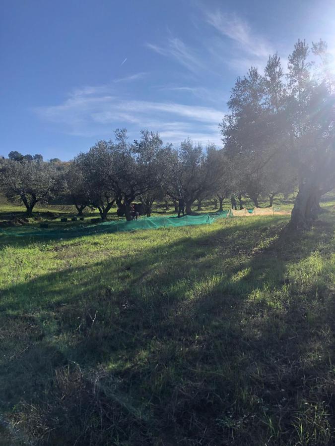 B&B La Casa Di Giuliana Cermignano 外观 照片