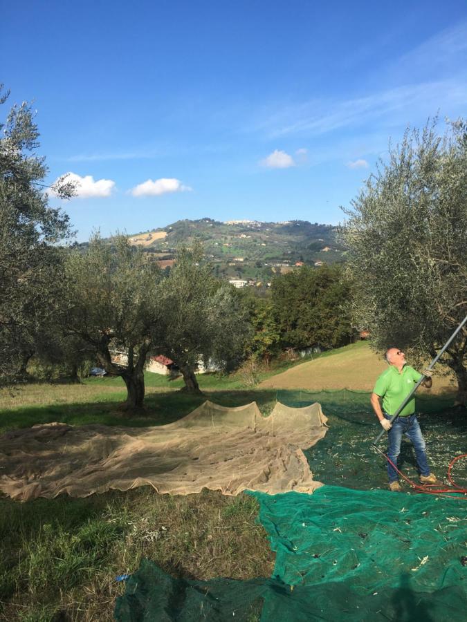 B&B La Casa Di Giuliana Cermignano 外观 照片
