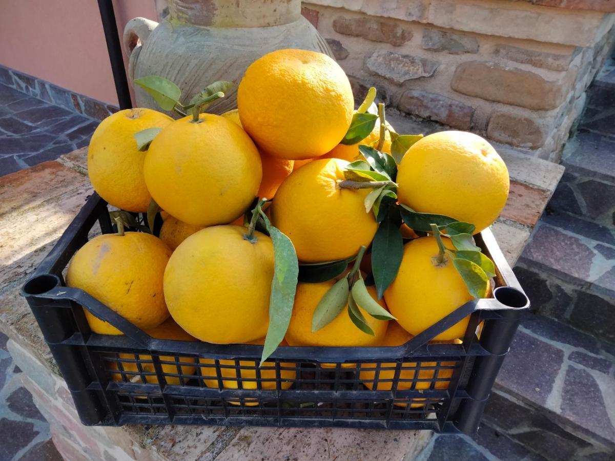 B&B La Casa Di Giuliana Cermignano 外观 照片