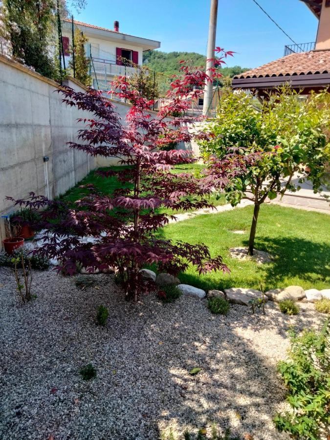 B&B La Casa Di Giuliana Cermignano 外观 照片