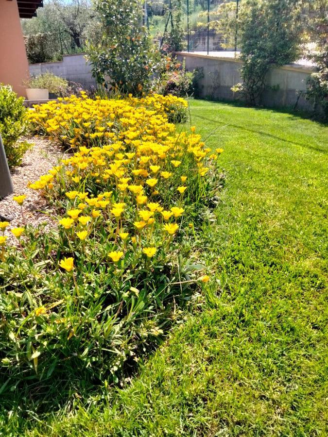 B&B La Casa Di Giuliana Cermignano 外观 照片